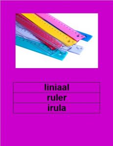 Liniaal Muurkaart