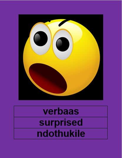 Verbaas muurkaart