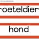 Afrikaans (Taal Flitskaarte) Troeteldiere