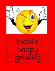 SeSotho Emosies Muurkaarte