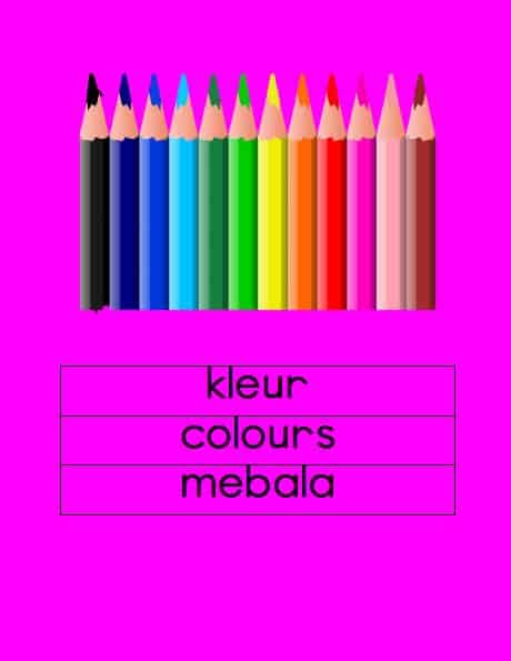 Afrikaans Kleur Eng/Sesotho Muurkaarte