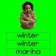 SeSotho Muurkaarte Winter