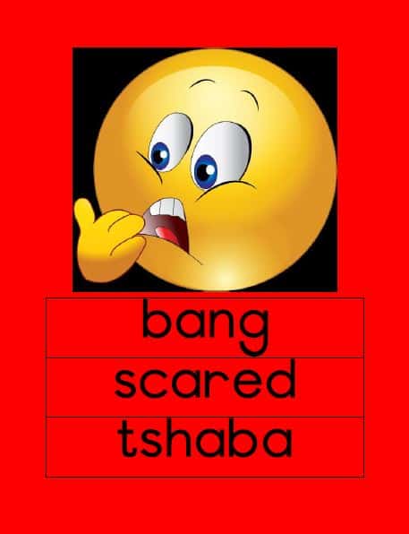Afrikaans Emosies Eng/Sesotho Muurkaarte
