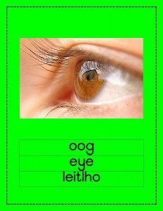 Setswana My Liggaam Muurkaarte