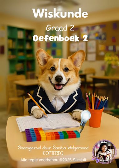 Wiskunde Graad 2 Oefenboek-1